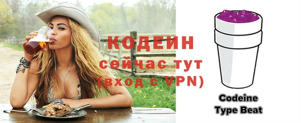шишки Верхний Тагил