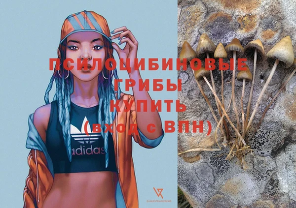 шишки Верхний Тагил
