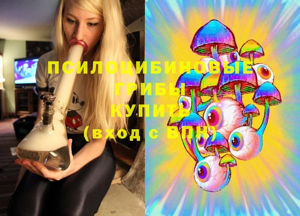 шишки Верхний Тагил