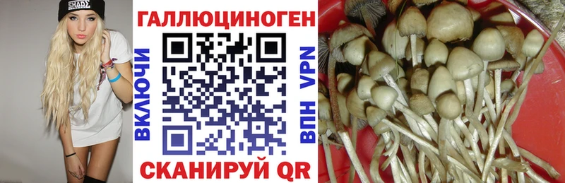 Псилоцибиновые грибы мицелий  Коммунар 